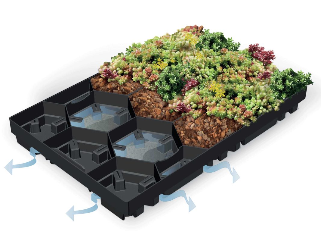 Zásobník zelené střechy ECOSEDUM PACK