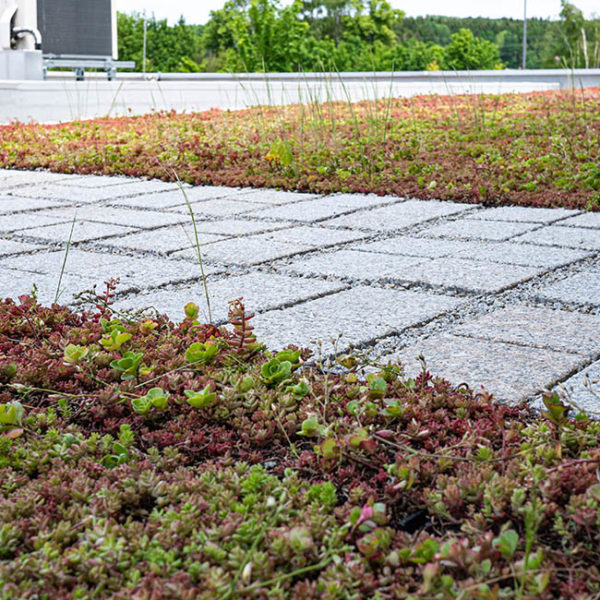 Zelená střecha ECOSEDUM PACK v kombinaci s ECORASTER BLOXX