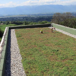Vegetační zelená střecha - ECOSEDUM PACK