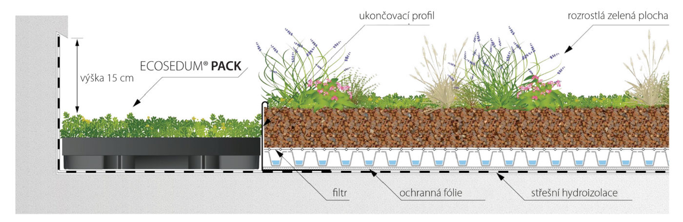 Vegetační zelená střecha - ECOSEDUM PACK