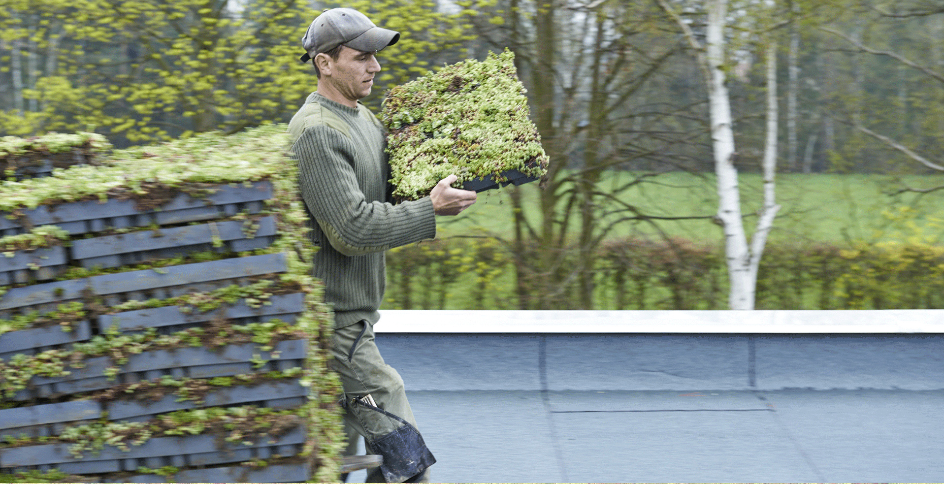 Vegetační zelená střecha - ECOSEDUM PACK