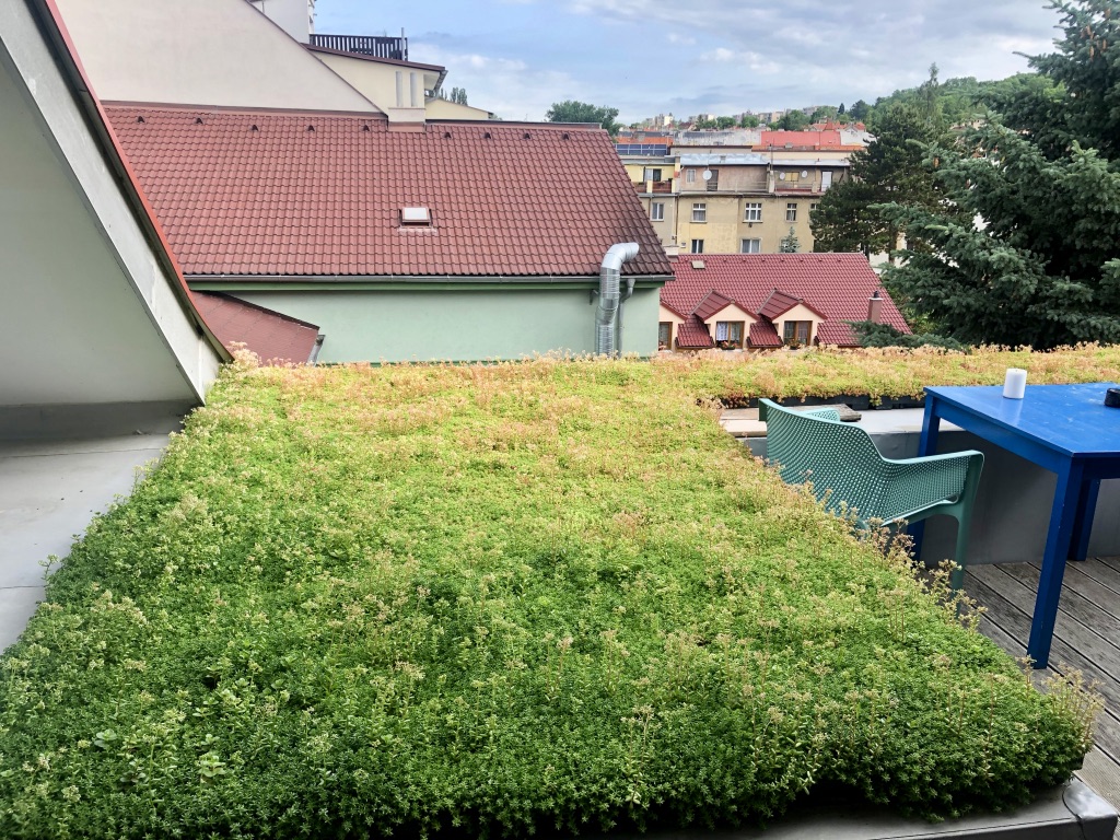 ECOSEDUM PACK - zelená střecha