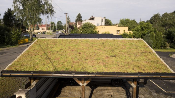 Zelená střecha ECOSEDUM PACK