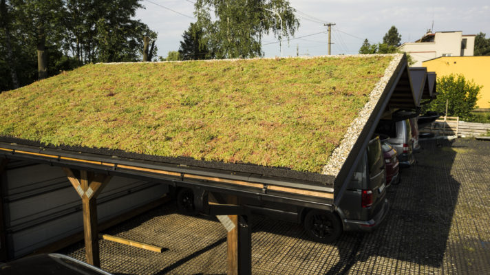 Zelená střecha ECOSEDUM PACK