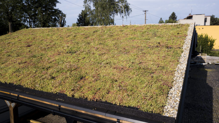 Zelená střecha ECOSEDUM PACK