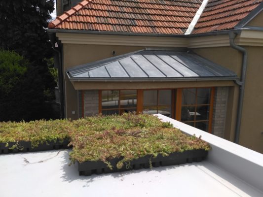 Zelená střecha ECOSEDUM PACK