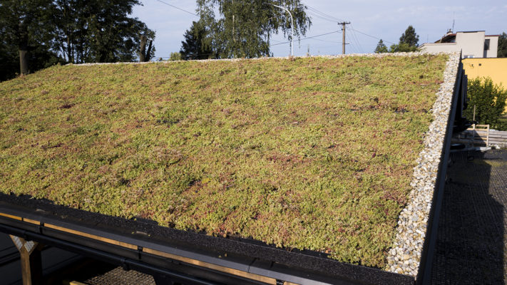 Zelená střecha ECOSEDUM PACK v Paskově