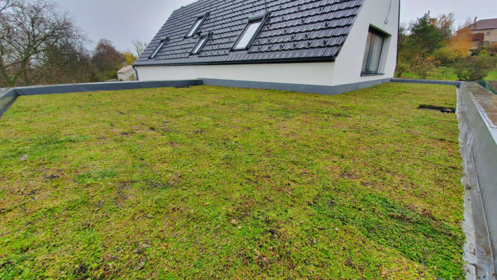 Zelená střecha ECOSEDUM PACK