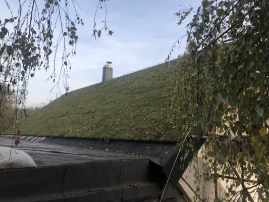 Zelená střecha ECOSEDUM PACK