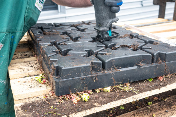 Zelená střecha ECOSEDUM PACK v kombinaci s ECORASTER BLOXX