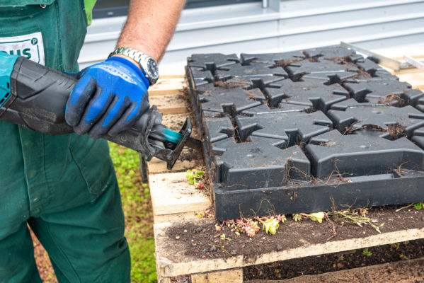 Zelená střecha ECOSEDUM PACK v kombinaci s ECORASTER BLOXX