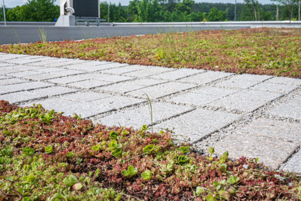 Zelená střecha ECOSEDUM PACK v kombinaci s ECORASTER BLOXX