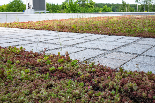 Zelená střecha ECOSEDUM PACK v kombinaci s ECORASTER BLOXX