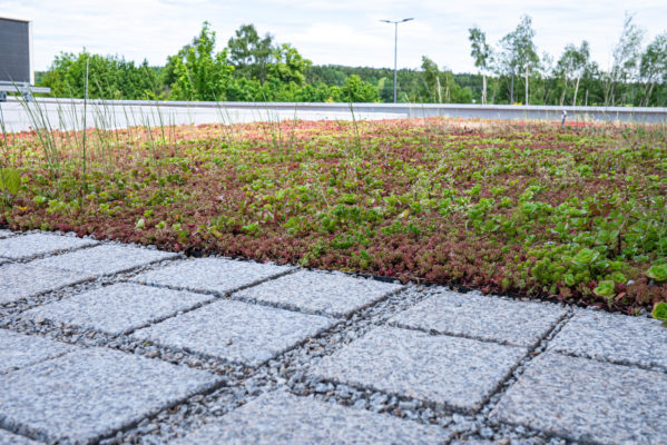 Zelená střecha ECOSEDUM PACK v kombinaci s ECORASTER BLOXX