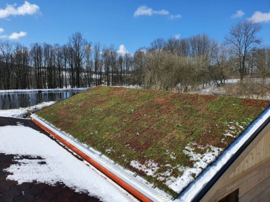 zelená střecha-ecosedum pack