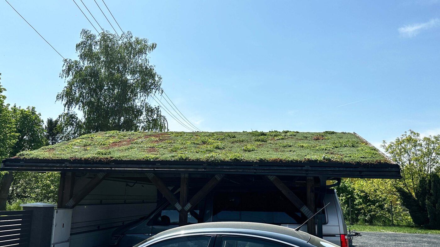 Zelená střecha po aplikaci hnojivem