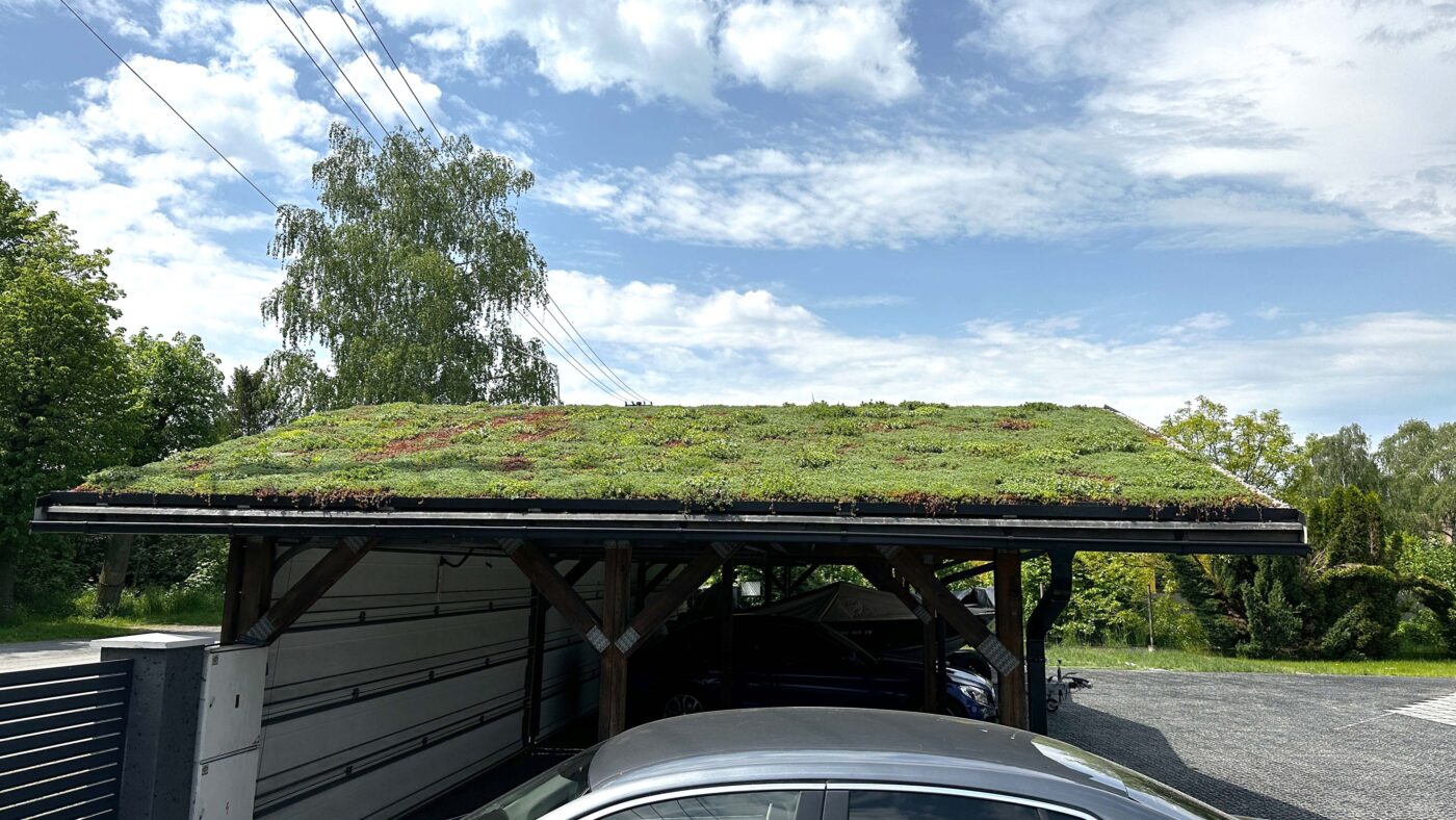 Ideální koncový stav zelené střechy po hnojení