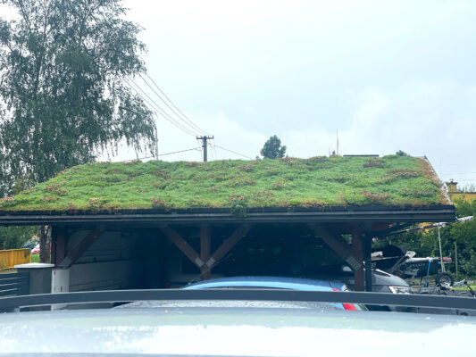 Zelená střecha ECOSEDUM PACK po hnojení