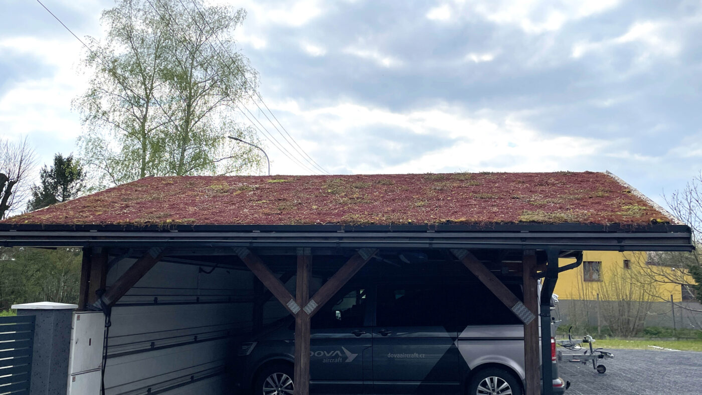 Zelená střecha ECOSEDUM PACK před hnojením