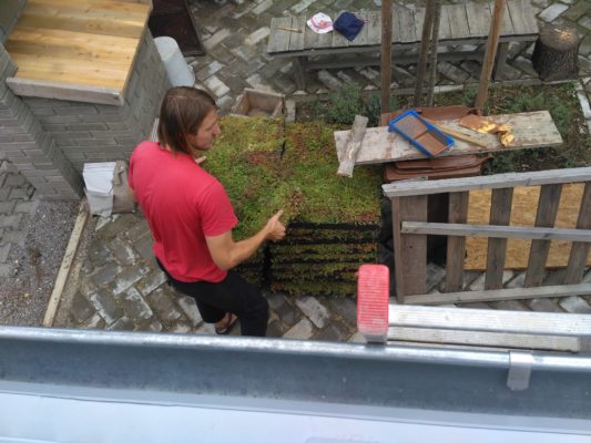 Zelená střecha ECOSEDUM PACK